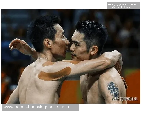 2017年林丹与李宗伟巅峰对决回顾与精彩瞬间分析